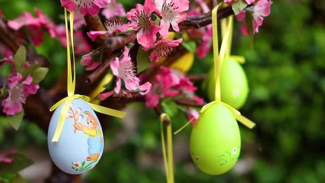 Uova di pasqua sui rami fioriti