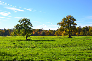 Fototapeta premium Landscape