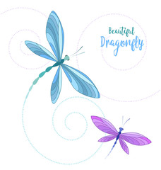 Dragonflies in flight