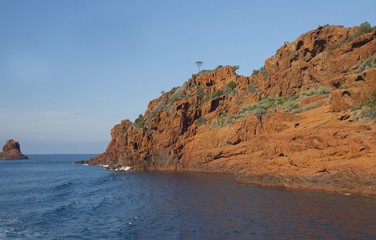 Fototapeta na wymiar The cliffs on the island Corsica France
