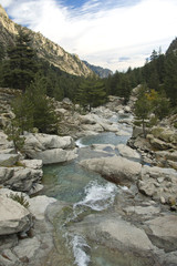 A beautiful streaming river on the island Corsica