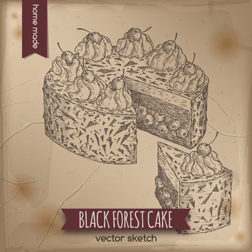 Vintage black forest cake sketch on old paper background.