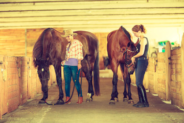 Cowgirl and jockey walking with horses in stable