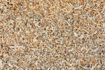 Large wooden shavings close-up, much