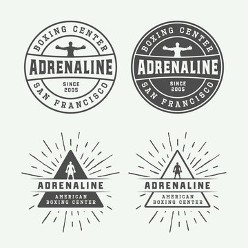Boxing and martial arts logo badges and labels in vintage style. Vector illustration