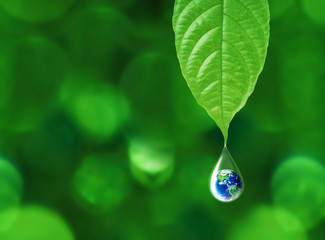 Earth in water drop reflection under green leaf, water and environment concept, Elements of this...