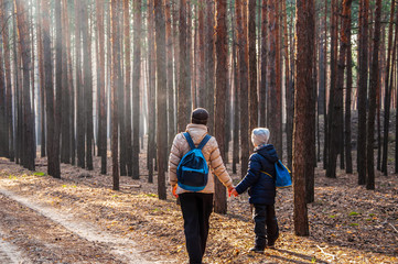 mother and son stroll through the fabulous pine forest into the light,Mother and baby walk on country rural road in pine forest