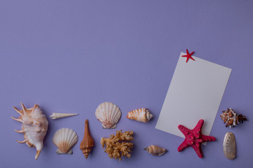 Paper card with seashells on bottom