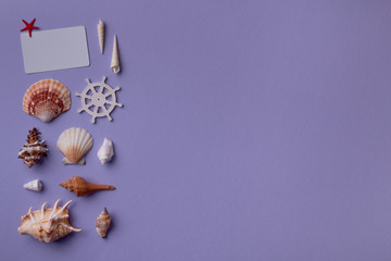 Gift card arranged with seashells
