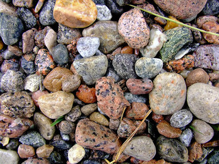 Wet multi-colored stones on the shore