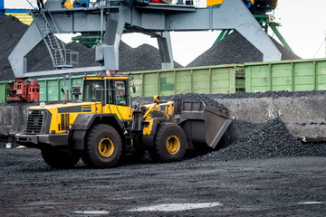 Work in port coal transshipment terminal.