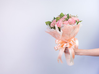 Woman hands holding a flower in green meadow, with focus on a flower. Pink Flower and nice ribbon.Pretty girl in a jeans dress on white background.