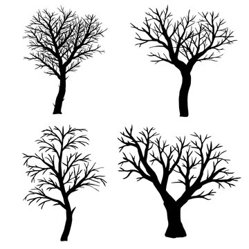 Set of silhouettes of bare trees on a white background.