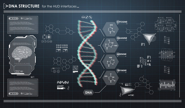 HUD infographic elements with DNA structure. Futuristic user interface. Abstract virtual graphic.