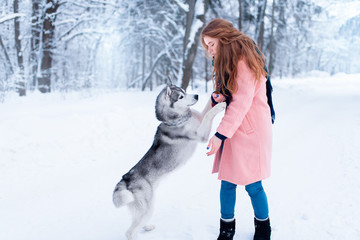 Pretty woman with playful husky dog