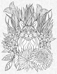 coloring page with a lynx
