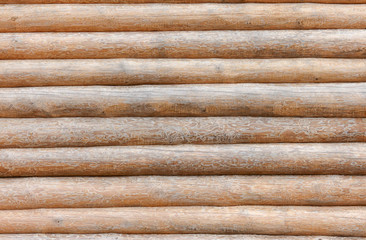 Background of larch logs