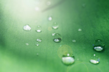 macro water drop on leaf close up in garden
