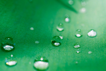 macro water drop on leaf close up in garden