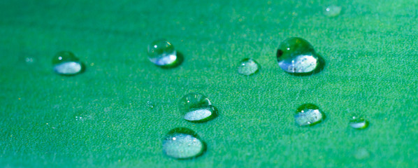 macro water drop on leaf close up in garden
