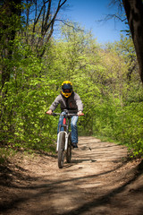 Fototapeta premium man ride mountain bike through forest