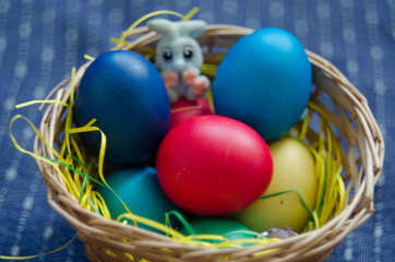 Easter Eggs and small bunny in basket