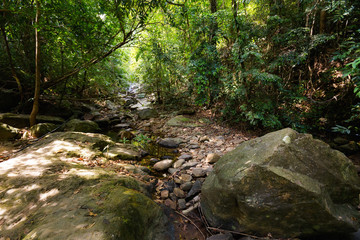 Jungle trekking on Koh Chang