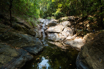 Naklejka na ściany i meble Jungle trekking on Koh Chang