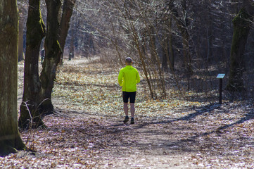 Biegacz w lesie, Kielce, Polska © olekgraf