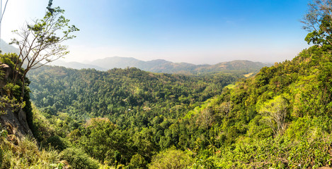 Green tropical forest in a valley on Ceylon