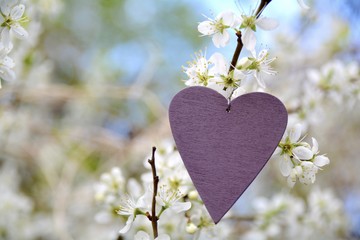 Grußkarte - Herz am Blütenzweig - Frühling
