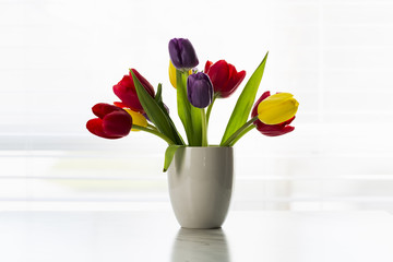 Colorful Easter Tulips