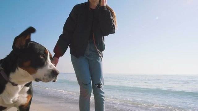 Young Female Playing And Walking With Great Swiss Mountain Dog On Beach, Slow Motion