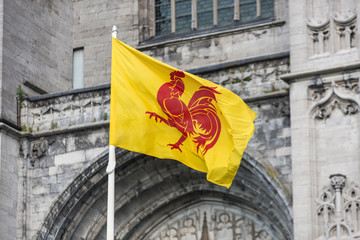 Flag waving in Mons, Belgium