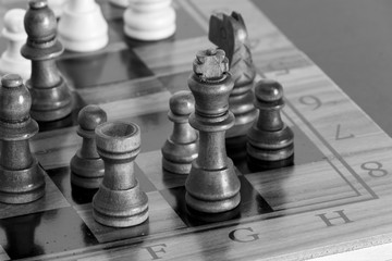 Scacchi fotografati su una scacchiera