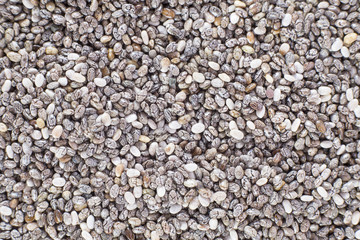 Seeds of chia - Salvia hispanica