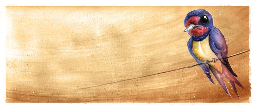 ilustracion Golondrina en acuarela