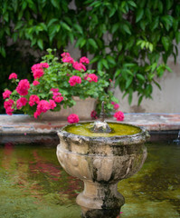 Detalle de fuente en un patio cordobés, Andalucía, España