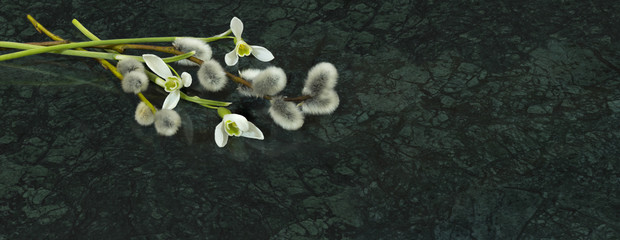 Snowdrop flowers and willow branches on Verde Guatemala marble surface