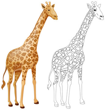 Animal outline for giraffe