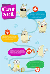 Cat infographics illustration