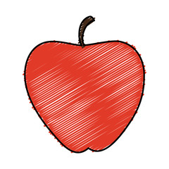apple fruit isolated icon vector illustration design