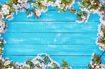 Abstract wooden blue background with blooming cherry blossoms