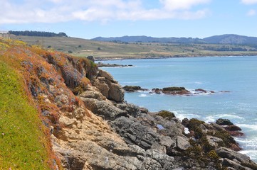 Naklejka premium Central California Coast 2