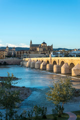 Fototapeta premium Roman bridge in Cordoba, Andalusia, southern Spain.