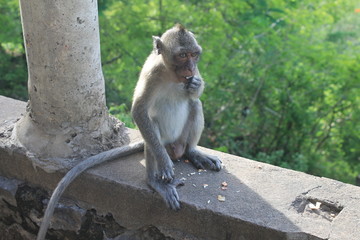 When the descendant of the man takes the pose