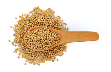 Coriander seeds in wood spoon on white background