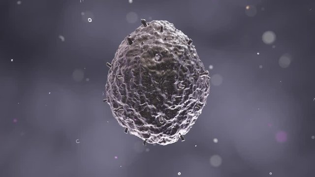 H1N1 Virus 007 3D Rendering: Scanning electron microscope image of the H1N1 virus.