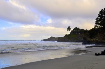 Evening at the Beach