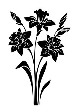 black daffodil flowers silhouette on white clip art preview